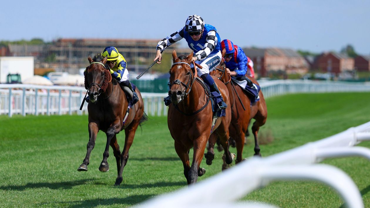 Wine Dark Sea wins Geoffrey Freer: Report, reaction and free video replay