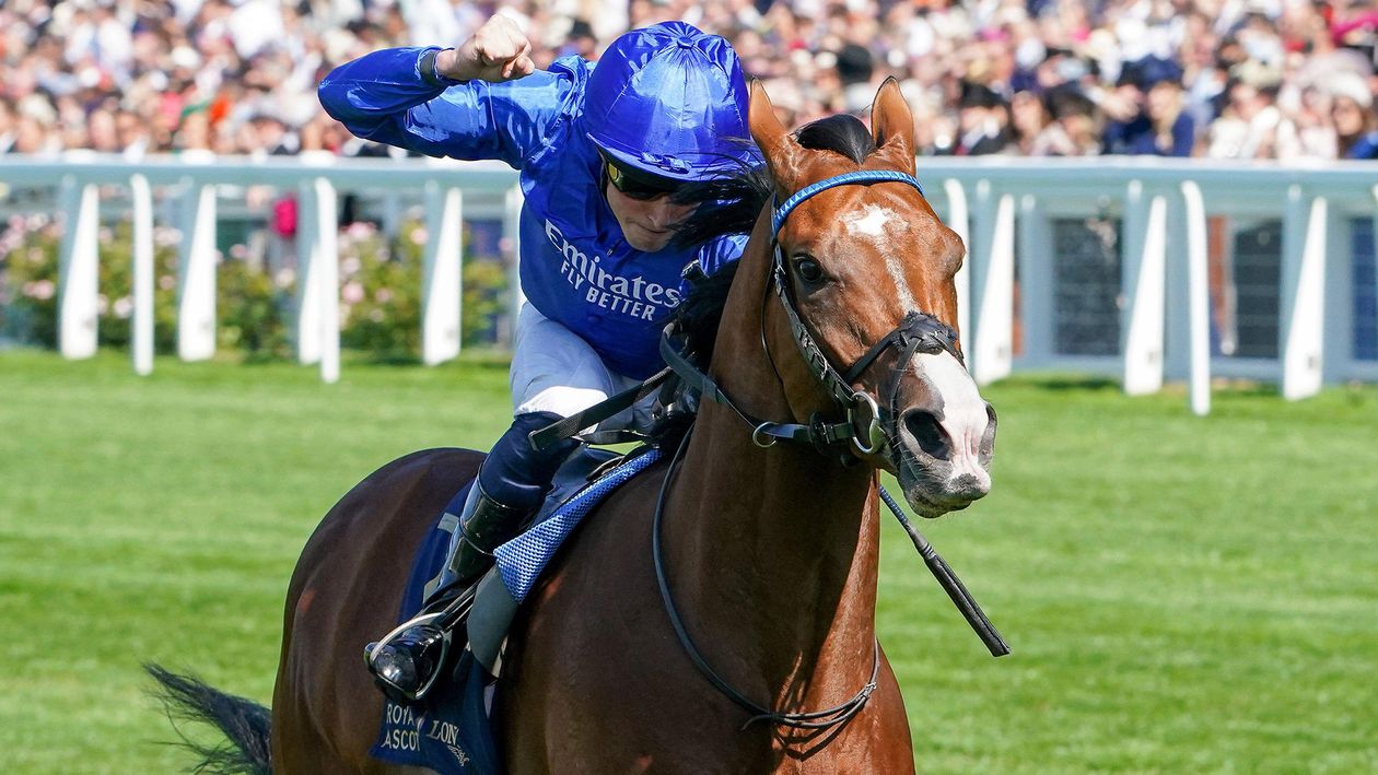 Ombudsman is the next star 10f performer on track at Sandown on Thursday in a division brimming with talent