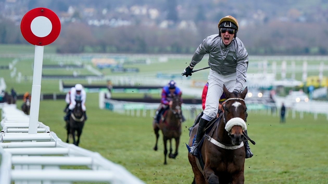 Paddy Power Stayers' Hurdle French duo set to run