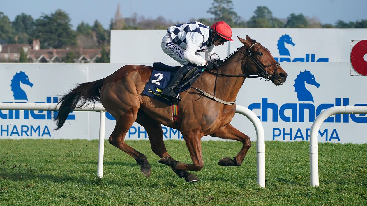 Cheltenham Festival tips: Ruby Walsh on the Sky Bet Supreme