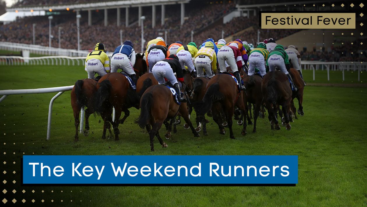 Festival Fever: The Key Weekend Runners with Cheltenham Festival in mind - Vimarsana News