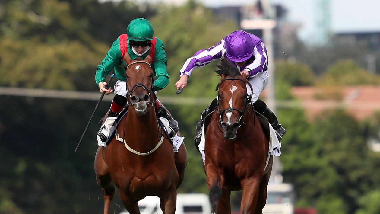 Irish Champion Stakes report & reaction: St Mark's Basilica edges thriller - Vimarsana News