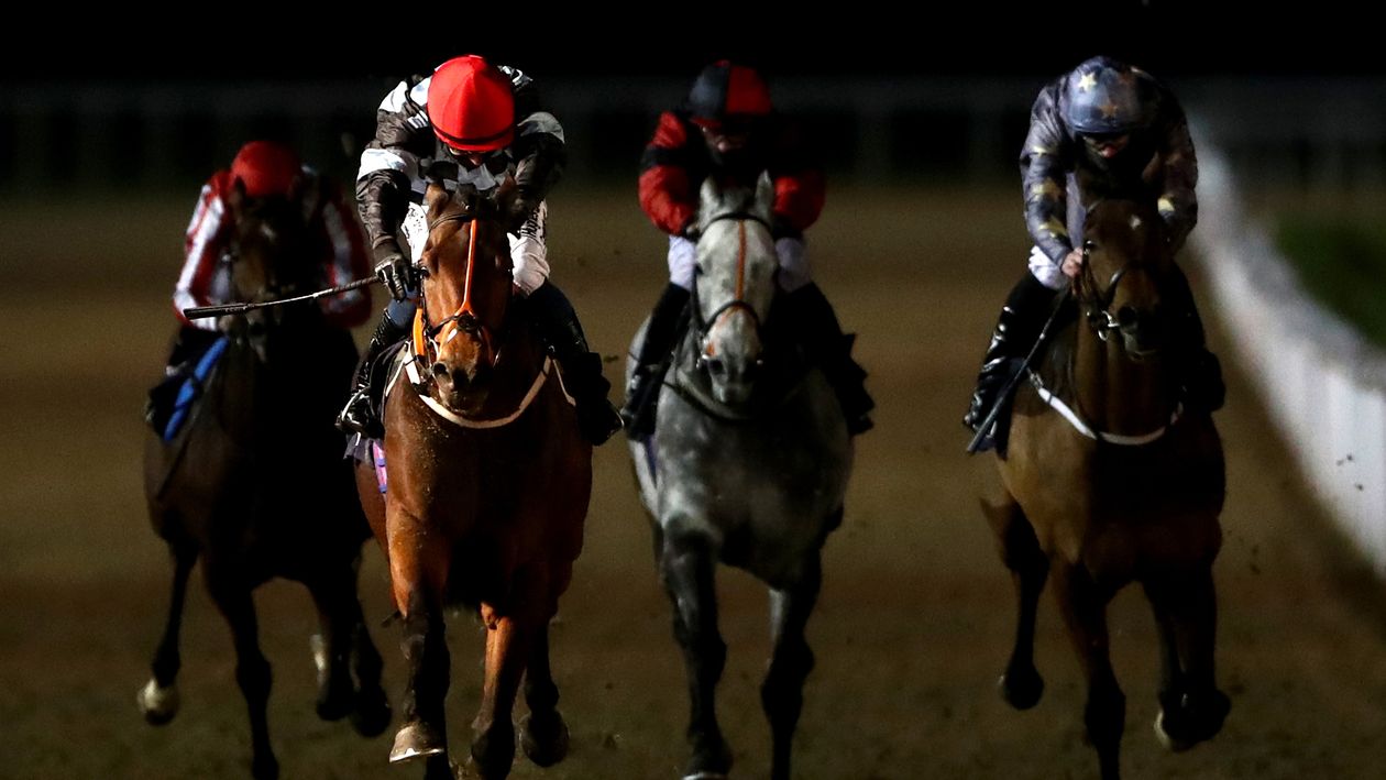 Peter Naughton Notebook: Eyecatchers and horses to follow from the TV ...
