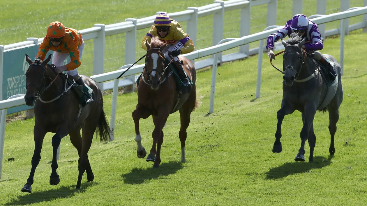 Mark Howard Racining Saturday racing tips: Mark Howard preview and best bets