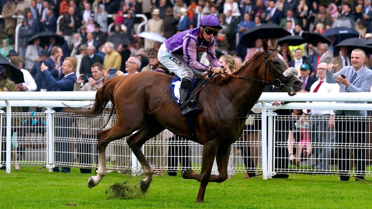 Goodwood reflections: David Ord thoughts after five days in Sussex