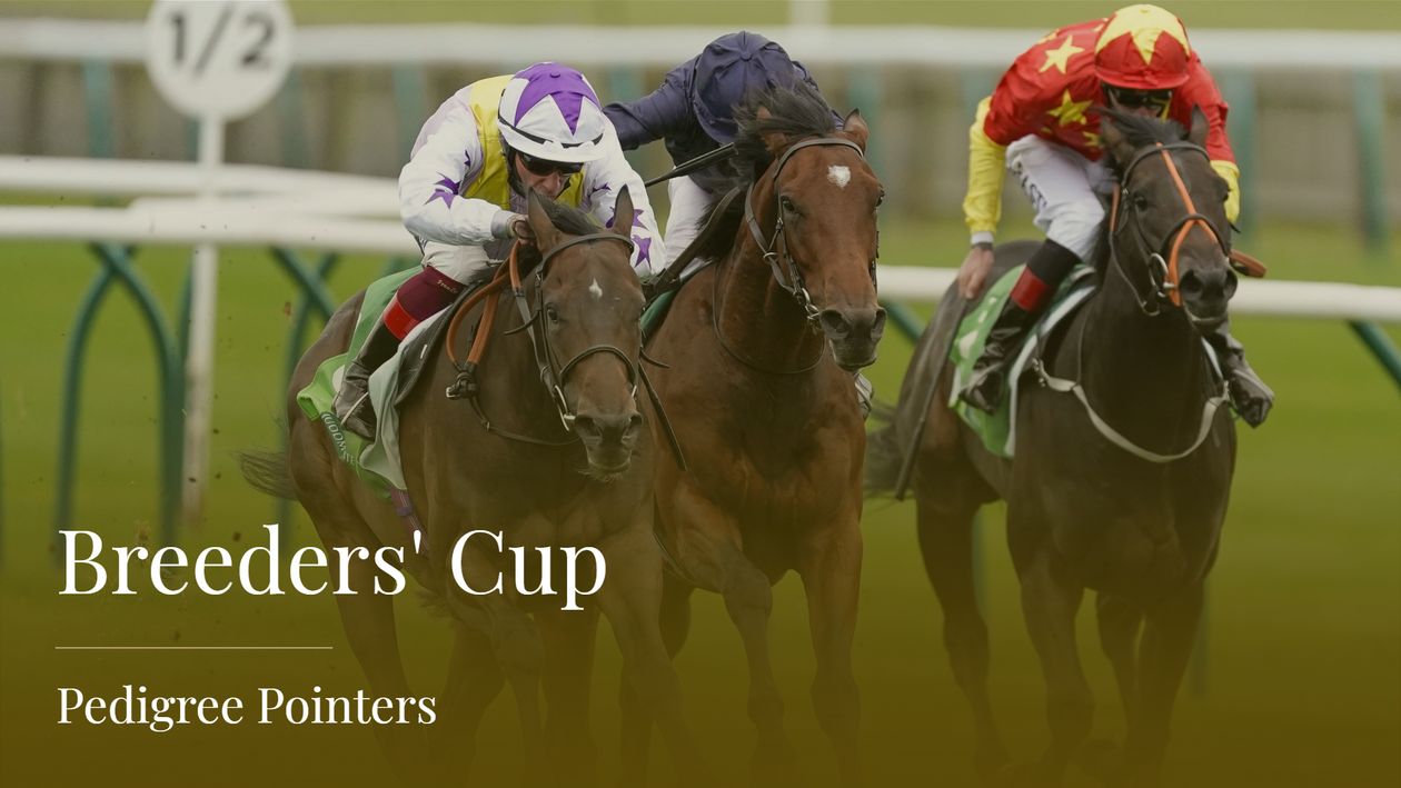 New Mandate features in a strong raiding party