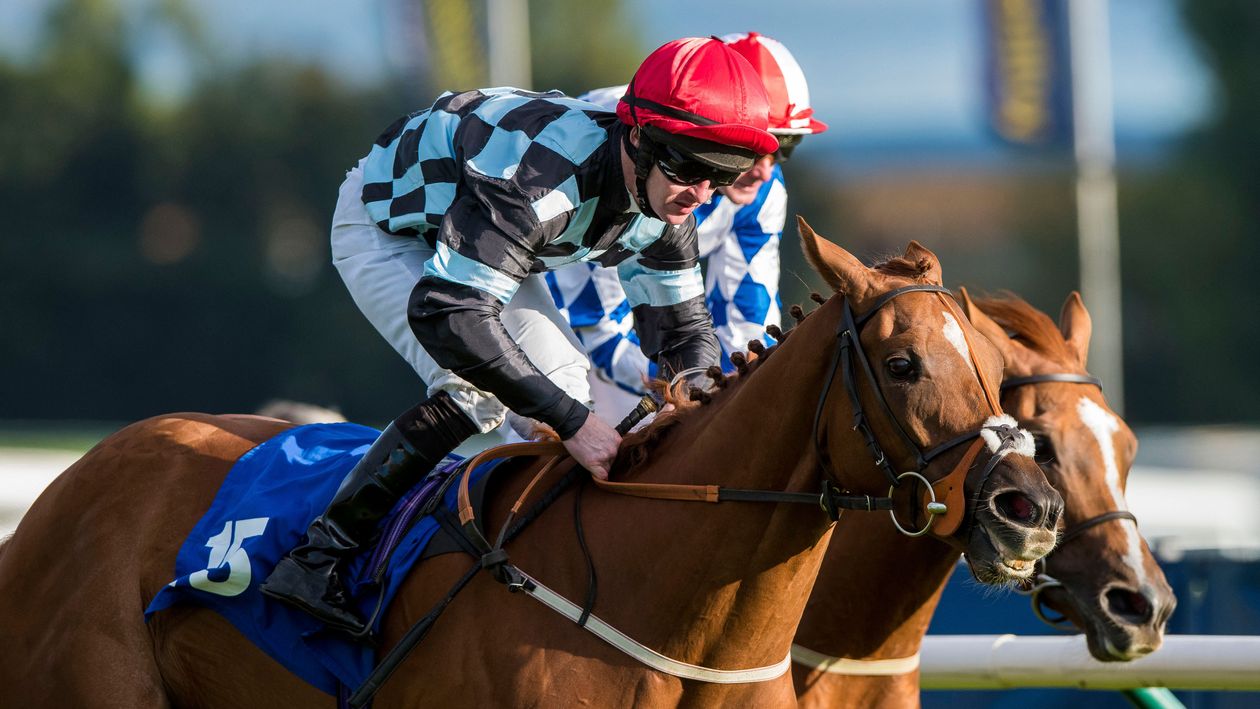 Ayr winner Nietzsche will have Flat options this year