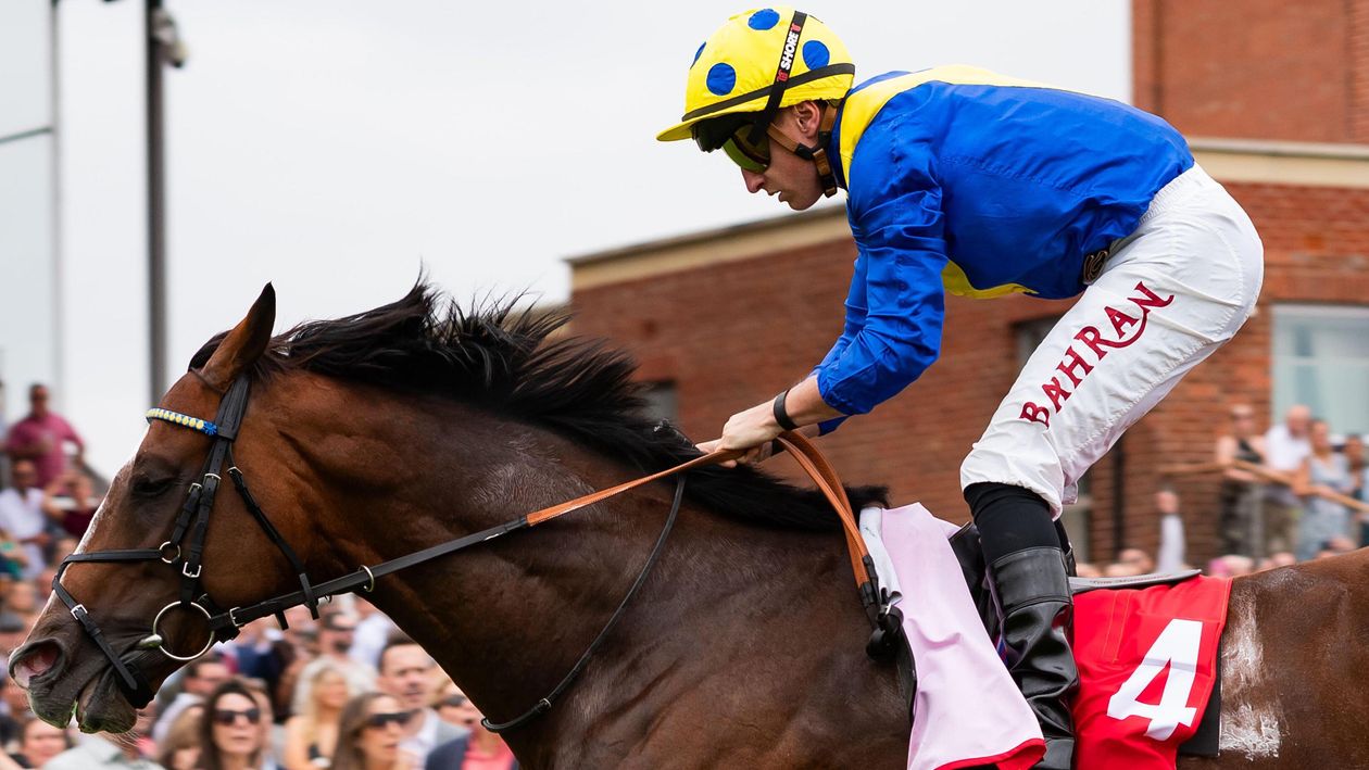 More Thunder ready for Aga Khan Studs Prix Jacques le Marois at Deauville on August 16