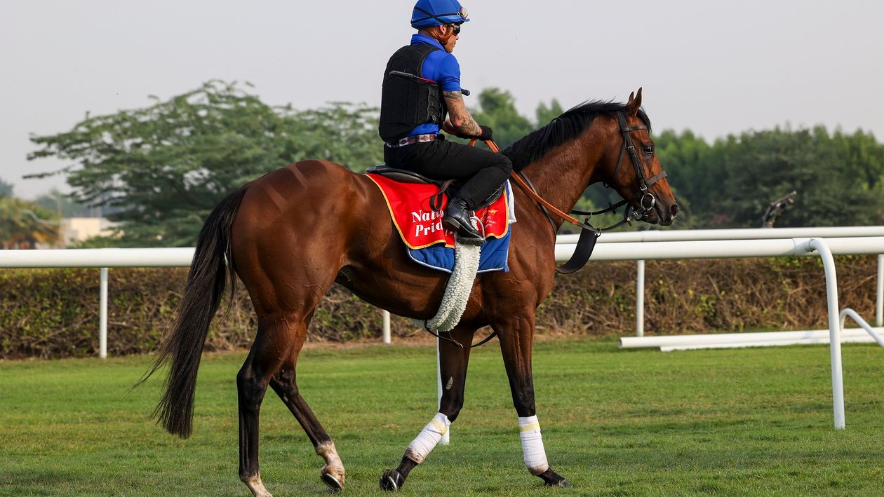 Bahrain International Trophy preview: Horse-by-horse guide and tip