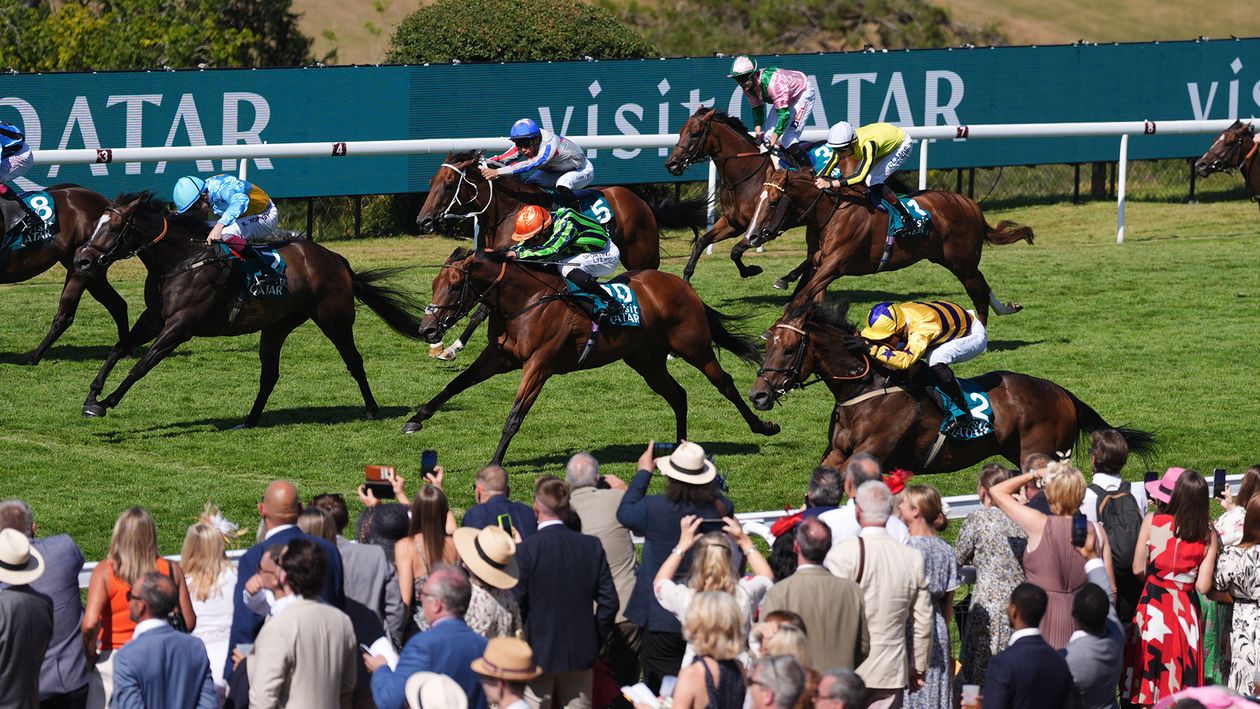 Goodwood winner American Affair set for Nunthorpe Stakes at York