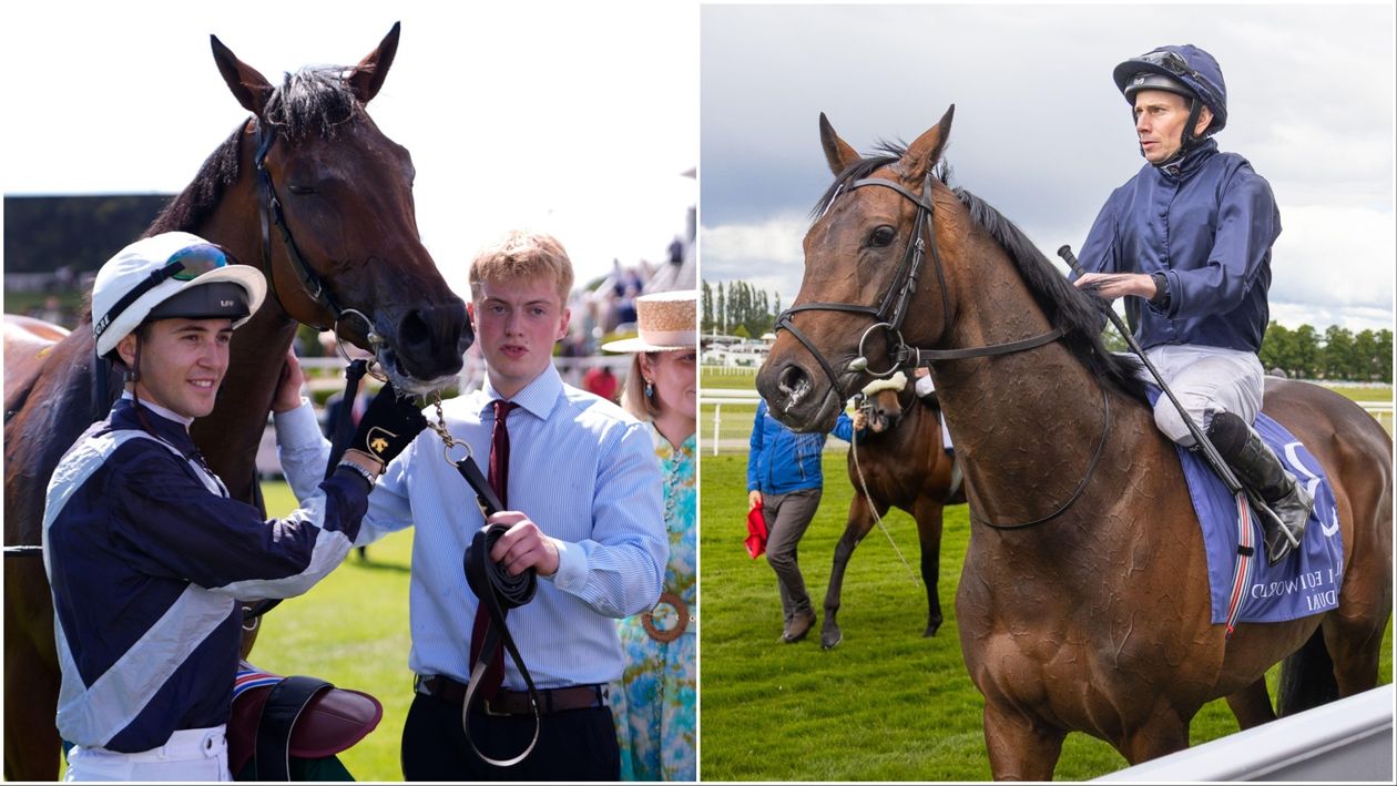 Timeform view on the Betfred St Leger at Doncaster including tactics, form and pedigree for the trip