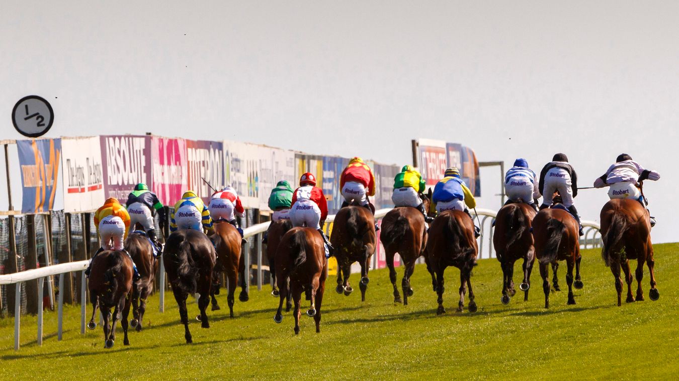 Horse racing tickets to be won by completing quick Sporting Life survey