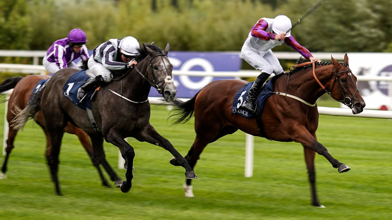 Madrid shows Steel in Earl of Sefton at Newmarket Horse