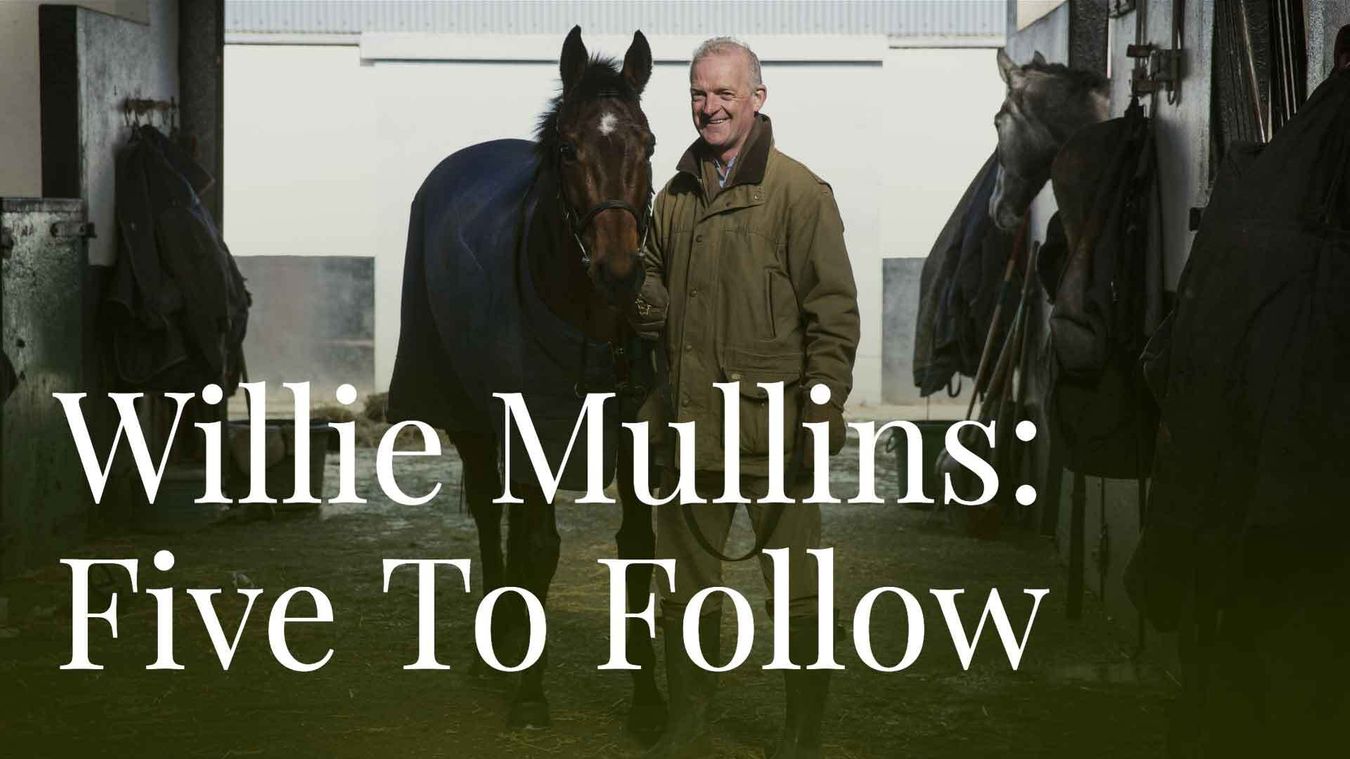 Willie Mullins Five horses to follow from Ireland's champion jumps