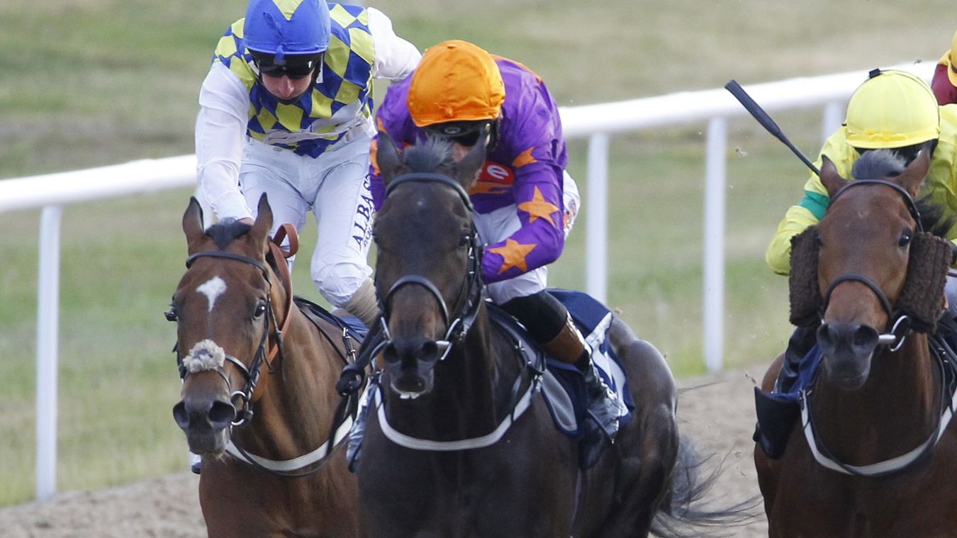 Flat horses to follow Trainer Harry Eustace with five to follow for