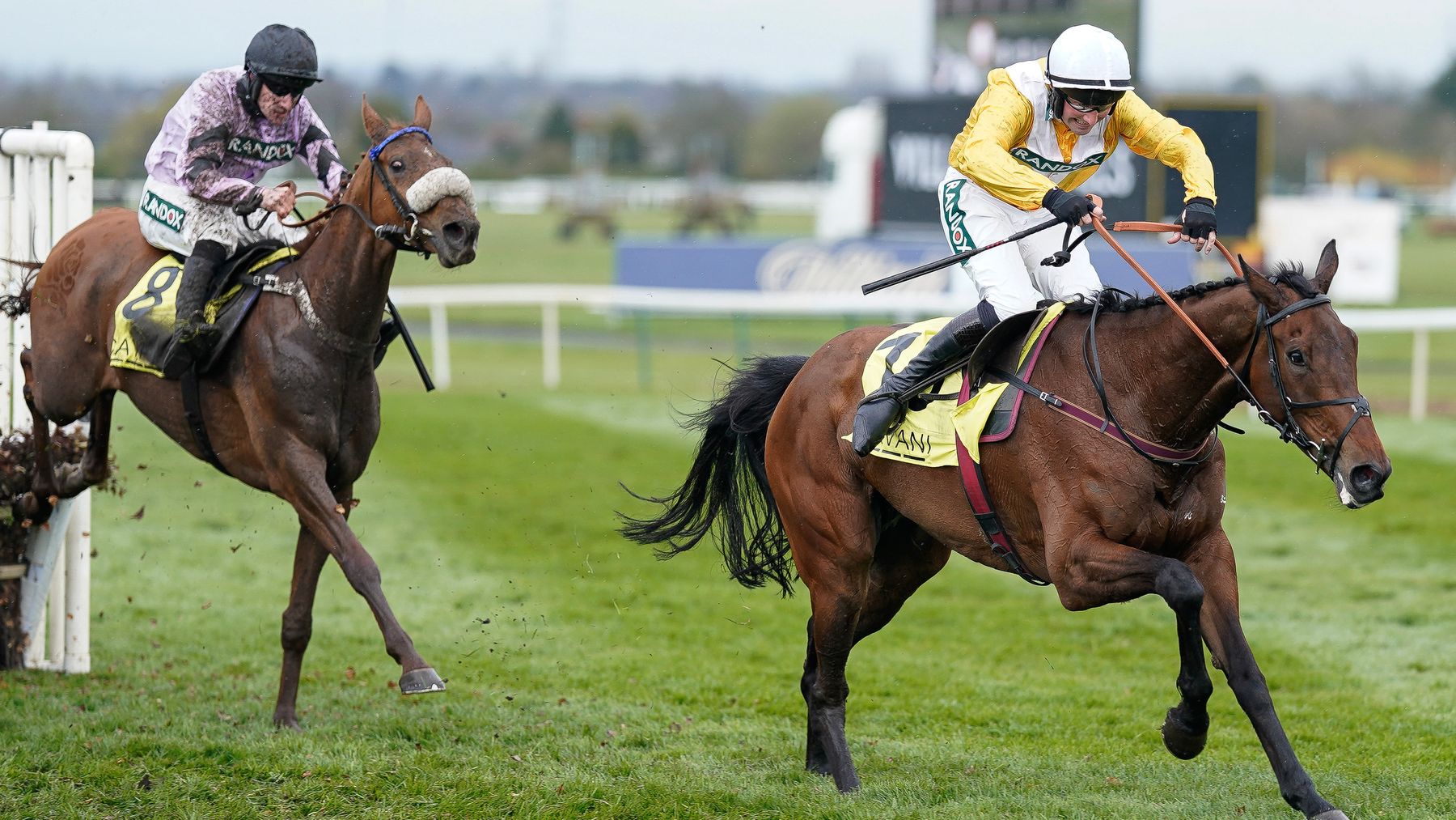 Lucinda Russell & Michael Scudamore Stable Tour: 2025/26 National Hunt