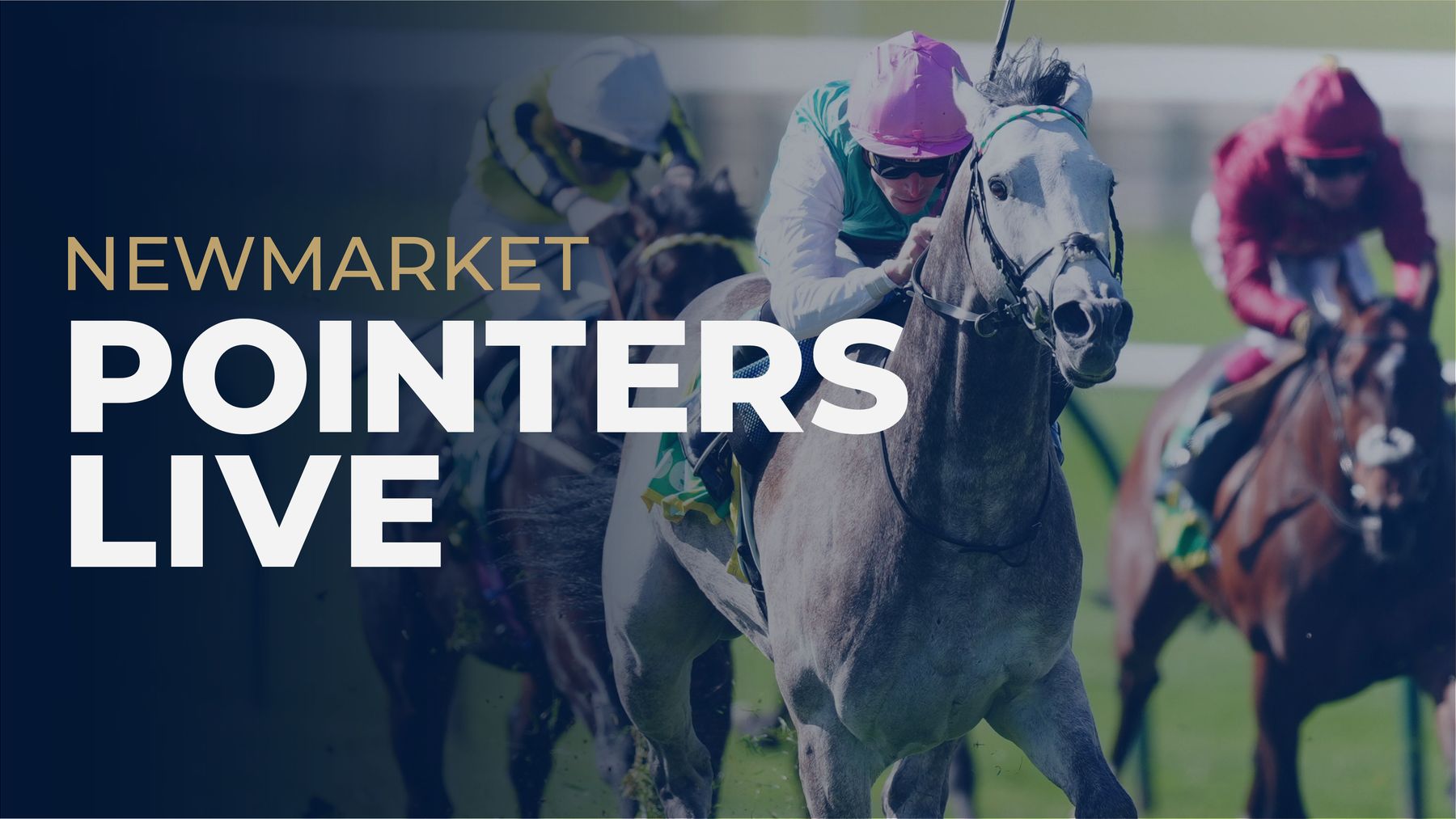 Newmarket Sunday Blog: Includes paddock updates and results