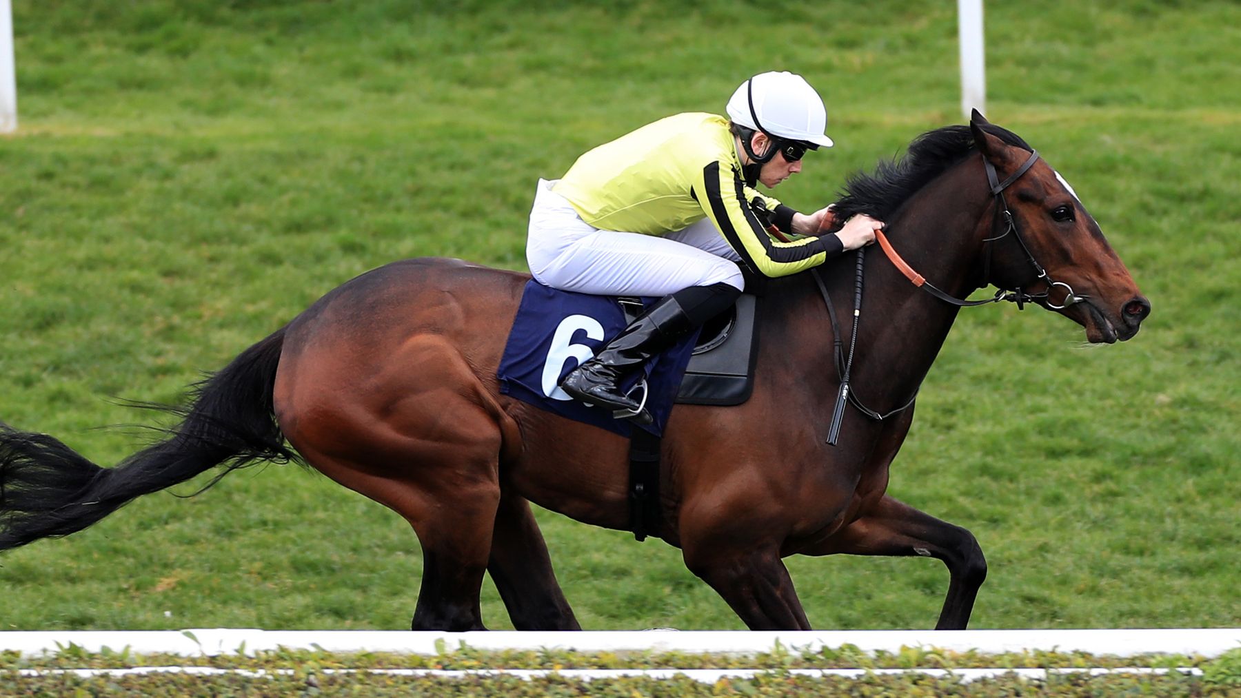 Flat horses to follow Trainer Scott with five to follow for the