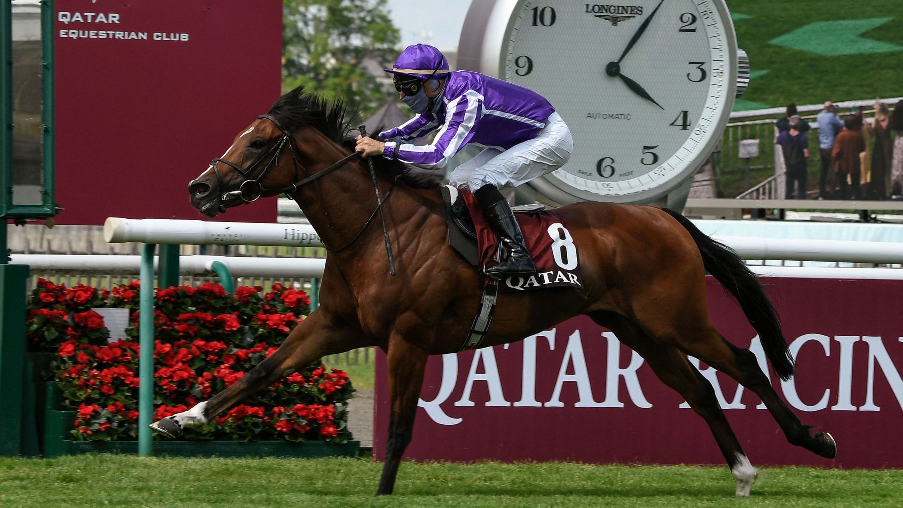 Dan Briden Two-Year-Old Guide: Ed Bethell