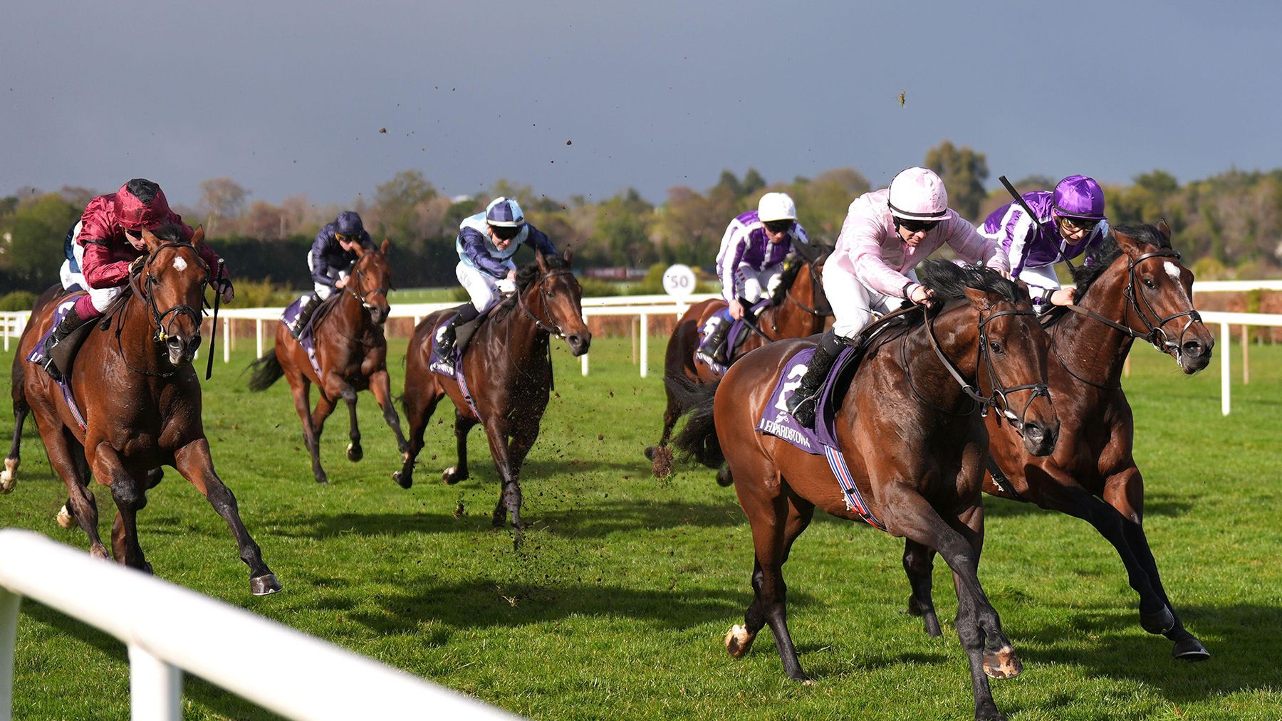 Timeform Daily View Tips Timeform Daily View | Thursday preview and tips