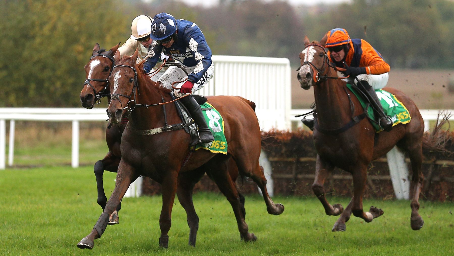 Racing weather news: Wetherby given green light