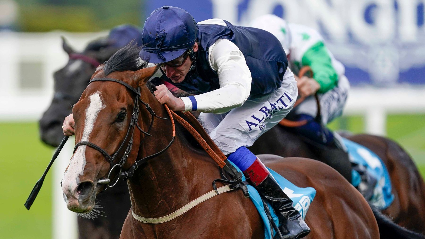 Ayr Racing Expert Panel: Saturday Racing including Ayr Gold Cup and Mill Reef Stakes