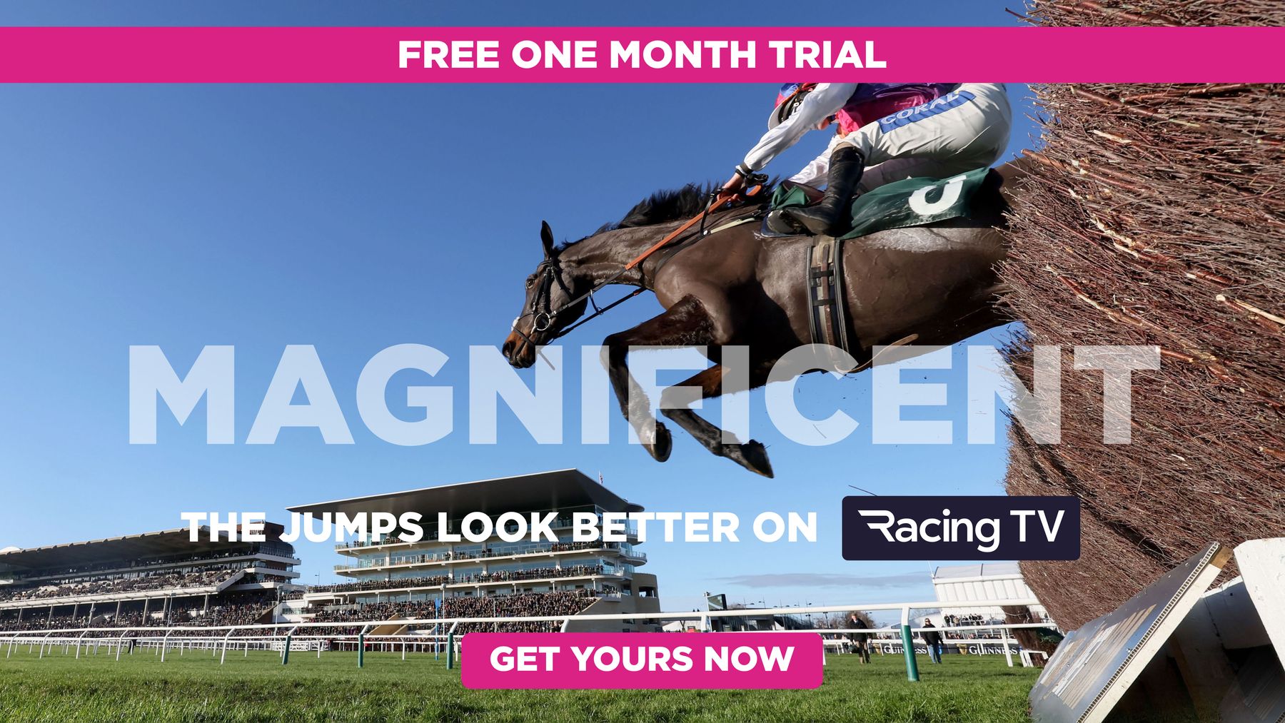 Racing TV free one-month trial offer for Sporting Life readers