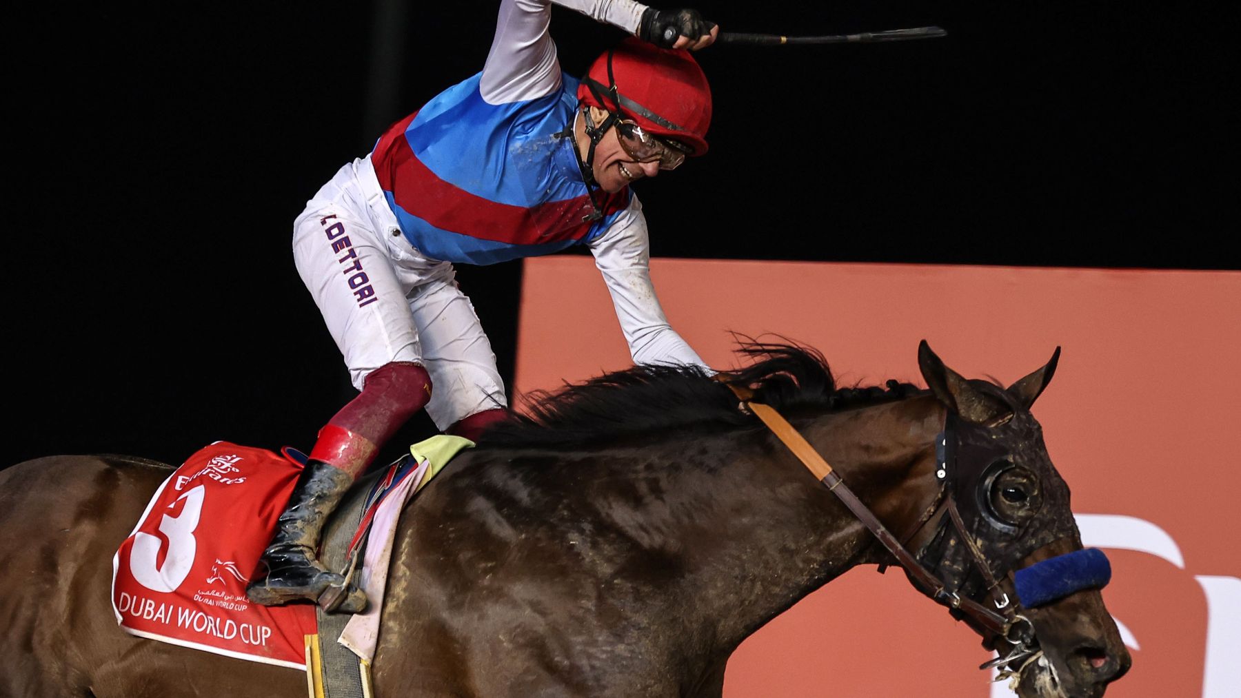 Timeform's Dubai World Cup runnerbyrunner guide