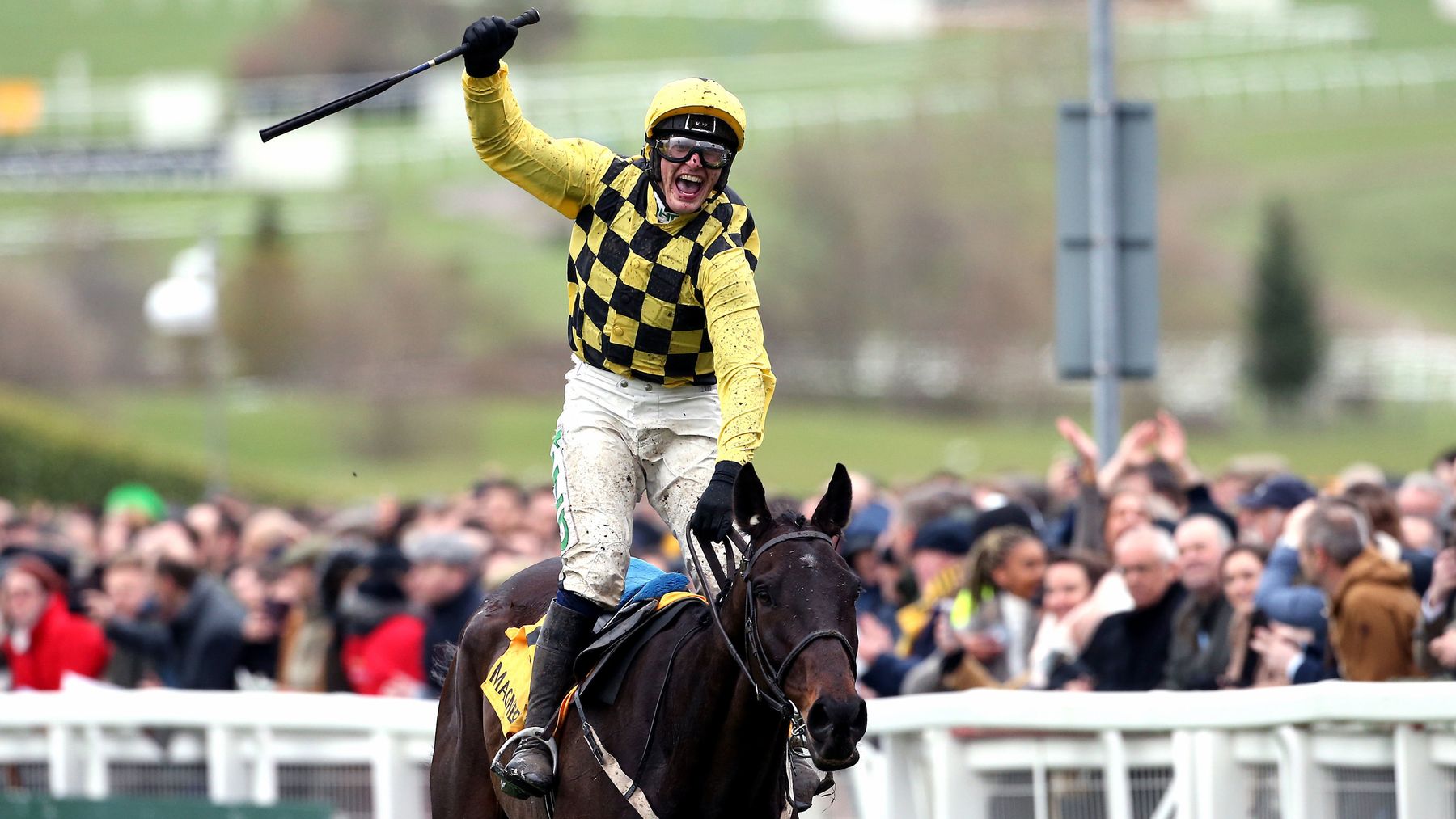 Cheltenham Festival runners & riders Quotes, odds, times, video