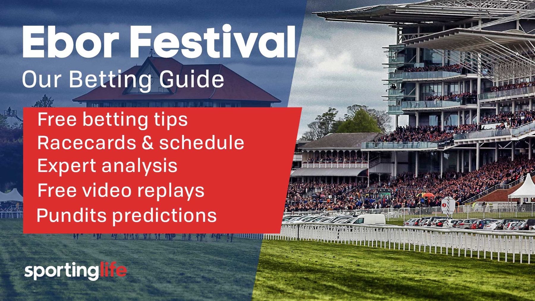 Ebor Festival Guide Race schedule, times, free betting tips
