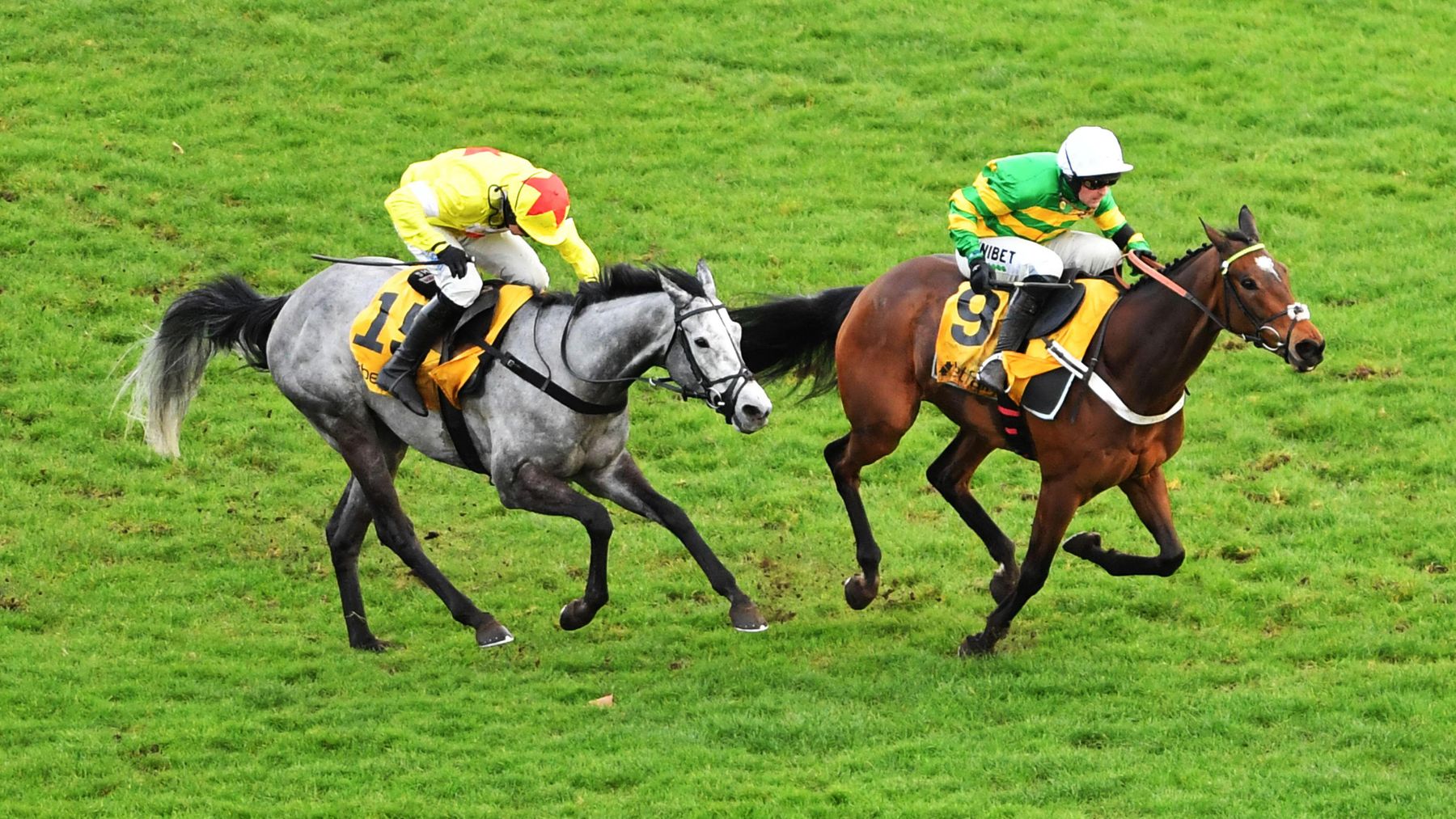 Nicky Hendersontrained Iberico Lord supplemented for Champion Hurdle