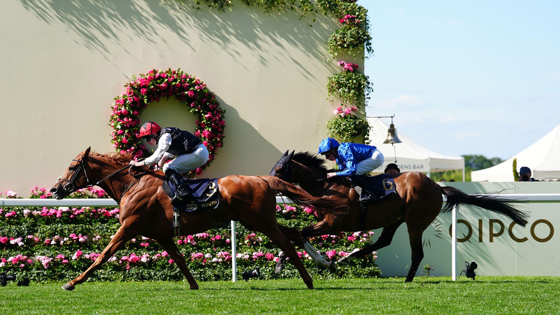 Timeform Daily View Tips Timeform Daily View | Thursday preview and tips