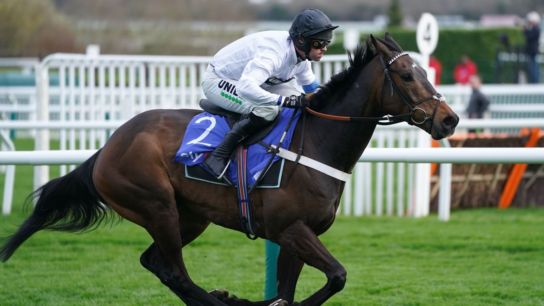 Timeform s Top Novice Hurdlers Including Constitution Hill