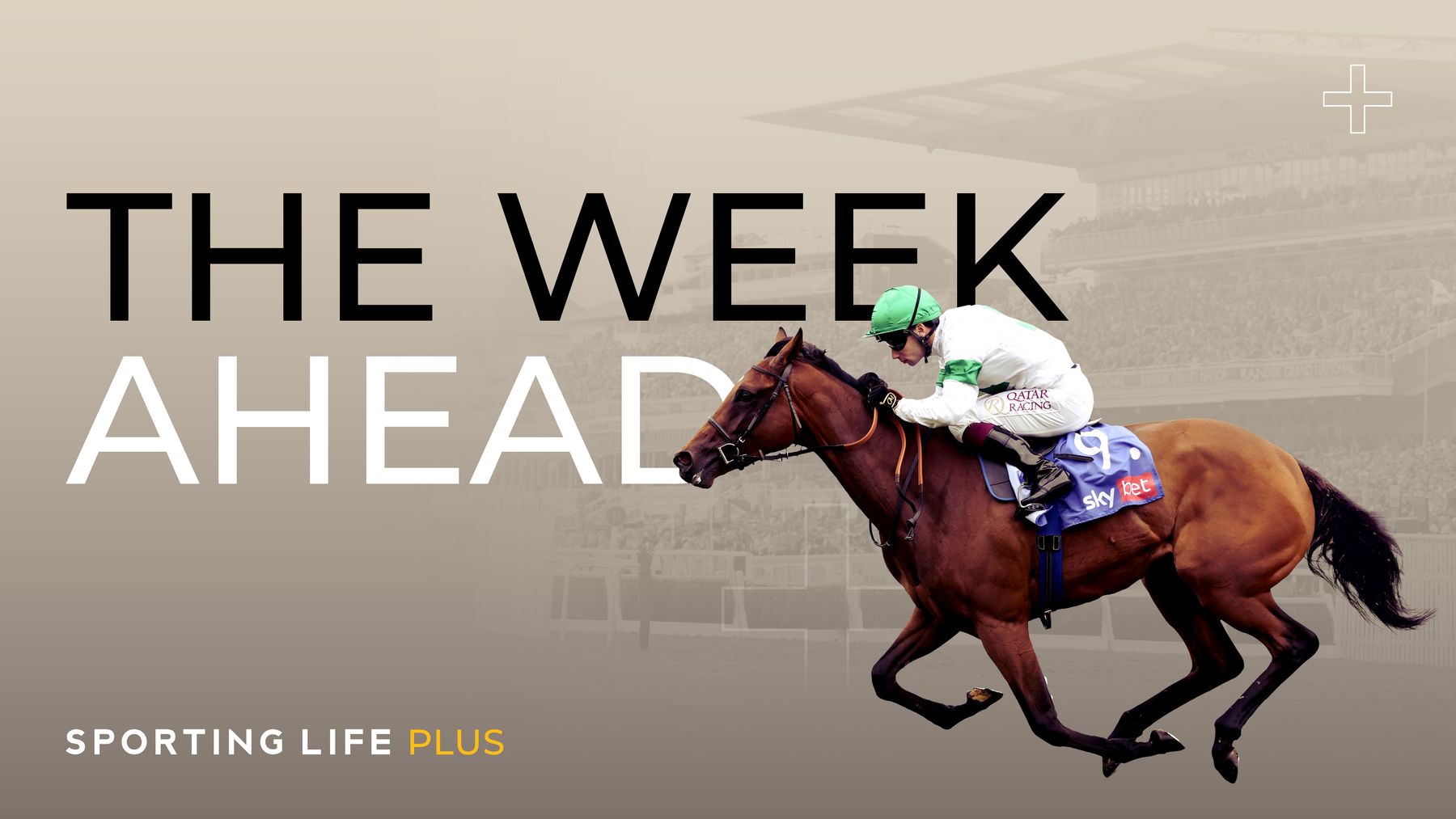 What's on this week in Racing and why log in to use Sporting Life Plus?