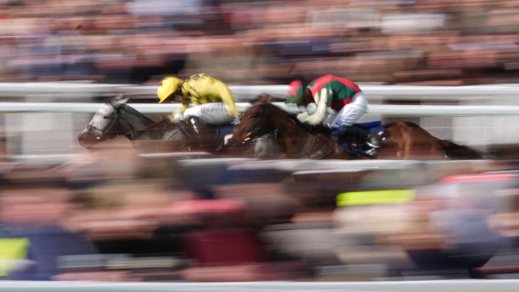 Final Demand disqualified from Cheltenham race and Willie Mullins fined