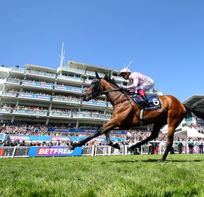 Horse Racing Dress Code World Pool Tips For Betfred Derby Day At Epsom Down  On Saturday
