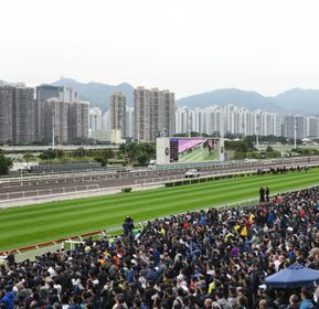 Horse Racing Betting Tips Racecards Results Sporting Life