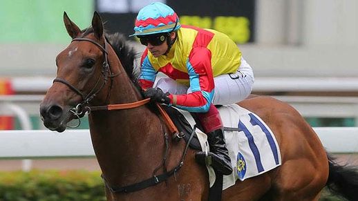 Champion sprinter Wellington is reportedly back on song