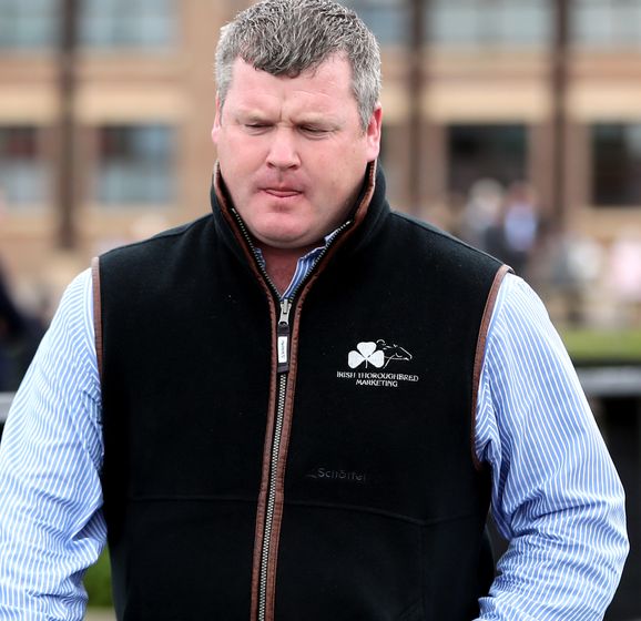 Gordon Elliott describes fatal fall of Mighty Potter at Fairyhouse as
