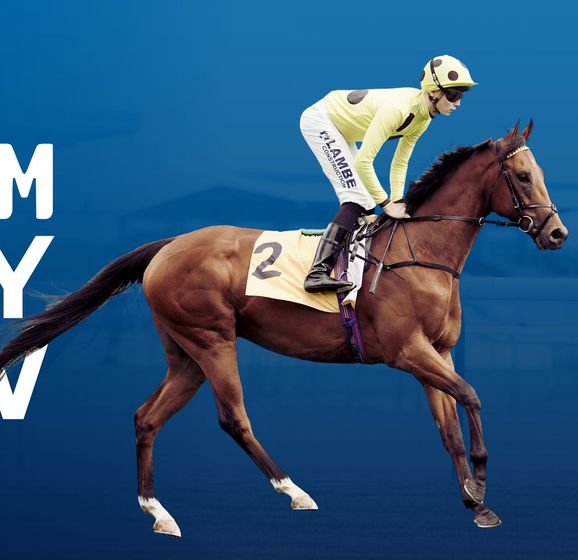 Timeform Daily View Tips Timeform Daily View | Tuesday preview and tips