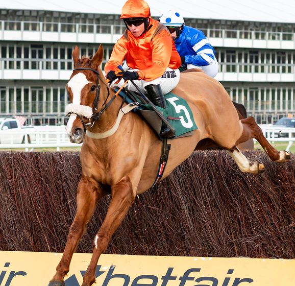 Stuart Edmunds aiming for Aintree with Miami Magic
