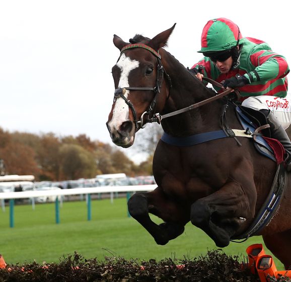 202122 British jumps season trainer analysis