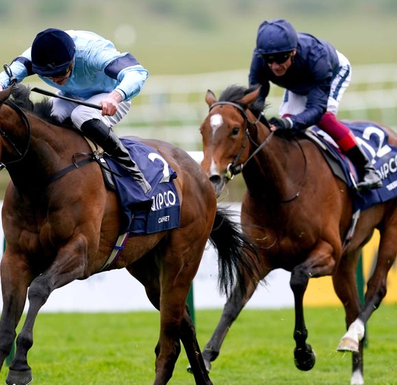 Boughey 2023 Stable Tour including Cachet and Missed The Cut