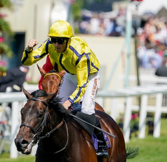 Stallion fees for 2023 Who represents the best value at stud?