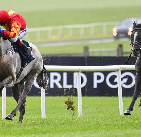 White Birch has not been declared for Wednesday's Prince of Wales’s