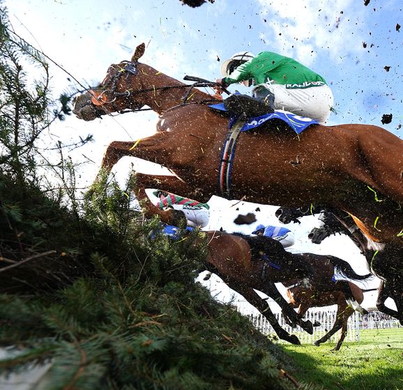 Grand National tips Trends and stats guide to Saturday's Aintree marathon