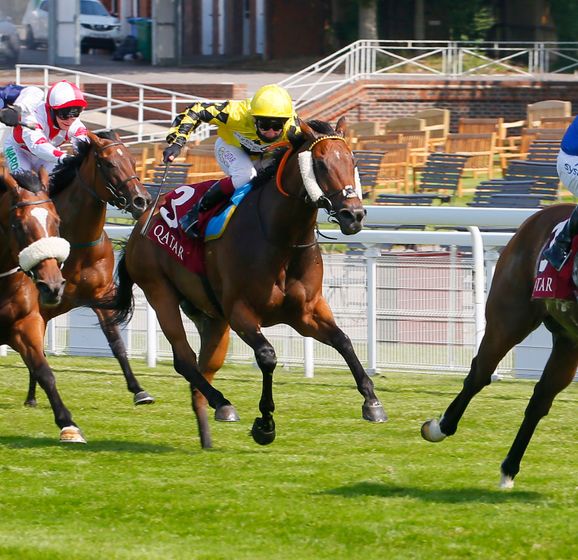 Horse racing analysis Timeform's fastest and slowest fivefurlong tracks