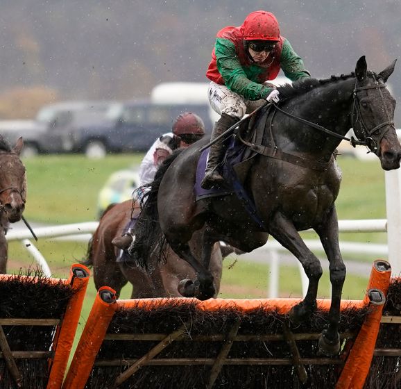 Jonjo O'Neill Stable Tour Guide to