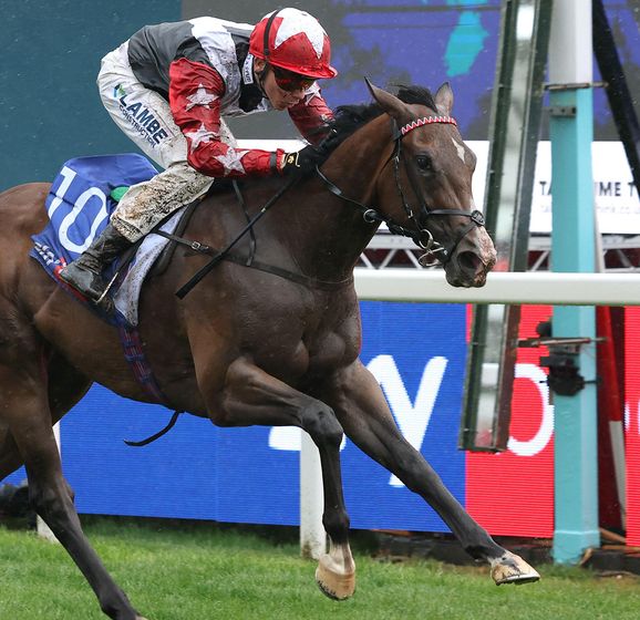 Flavian Prat to replace Billy Loughnane on Libertango at Breeders' Cup