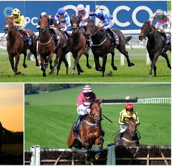 Betting tips and how to make it pay punting on racing in autumn